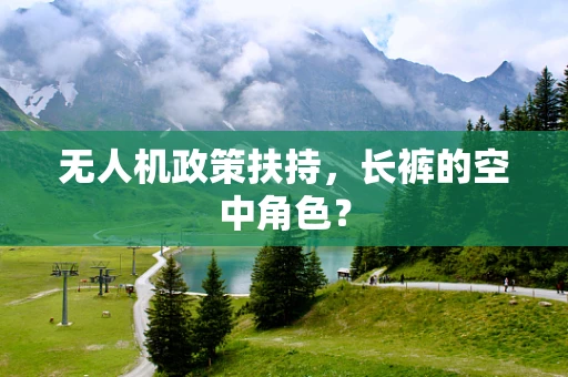 无人机政策扶持，长裤的空中角色？