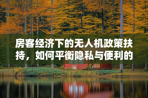 房客经济下的无人机政策扶持，如何平衡隐私与便利的边界？