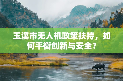 玉溪市无人机政策扶持，如何平衡创新与安全？