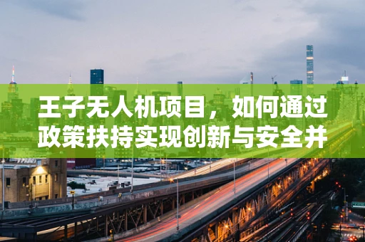王子无人机项目，如何通过政策扶持实现创新与安全并重？