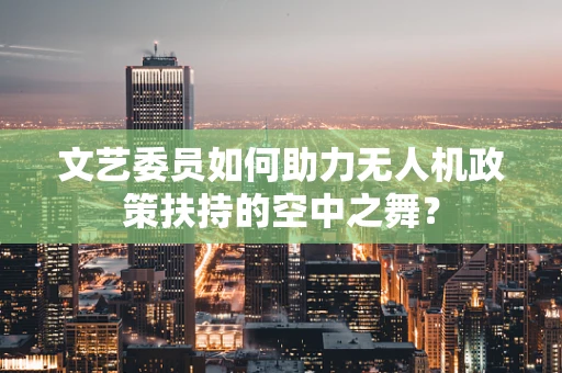 文艺委员如何助力无人机政策扶持的空中之舞？