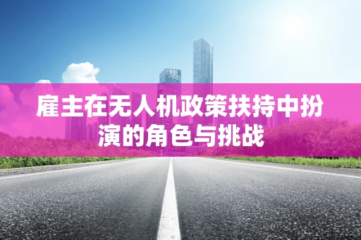 雇主在无人机政策扶持中扮演的角色与挑战