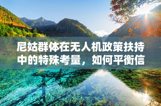 尼姑群体在无人机政策扶持中的特殊考量，如何平衡信仰与科技？