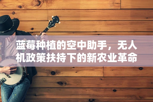 蓝莓种植的空中助手，无人机政策扶持下的新农业革命？