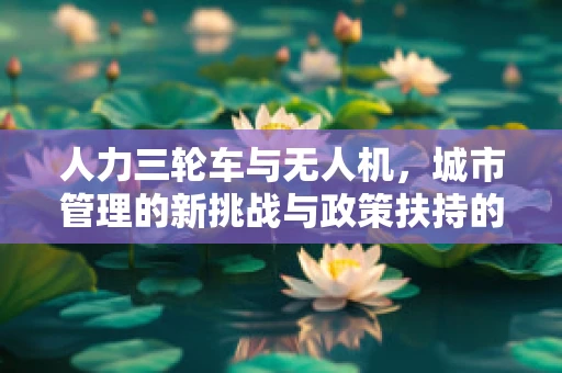 人力三轮车与无人机，城市管理的新挑战与政策扶持的智慧之问