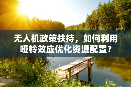 无人机政策扶持，如何利用哑铃效应优化资源配置？