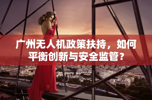 广州无人机政策扶持，如何平衡创新与安全监管？