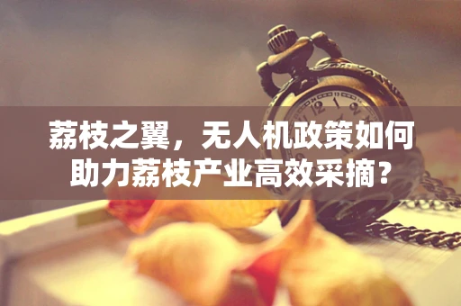荔枝之翼，无人机政策如何助力荔枝产业高效采摘？