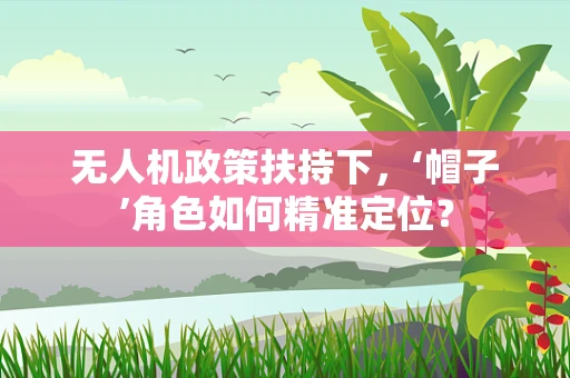 无人机政策扶持下，‘帽子’角色如何精准定位？