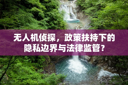 无人机侦探，政策扶持下的隐私边界与法律监管？