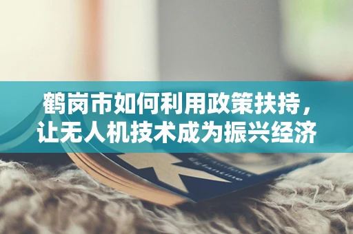 鹤岗市如何利用政策扶持，让无人机技术成为振兴经济的新引擎？