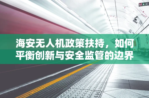 海安无人机政策扶持，如何平衡创新与安全监管的边界？
