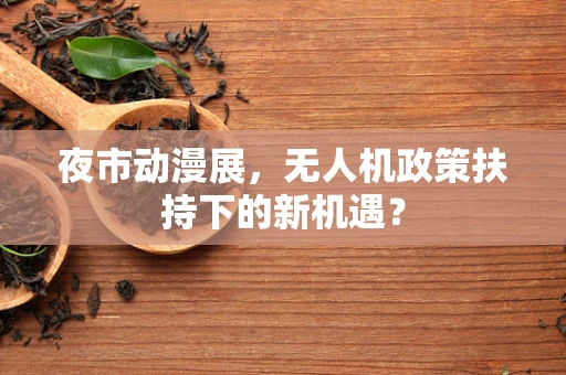 夜市动漫展，无人机政策扶持下的新机遇？