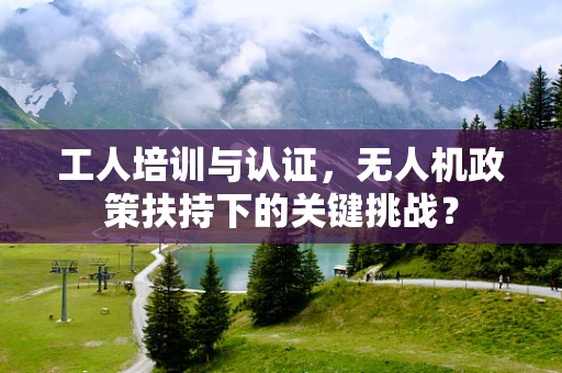 工人培训与认证，无人机政策扶持下的关键挑战？