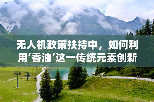 无人机政策扶持中，如何利用‘香油’这一传统元素创新监管措施？