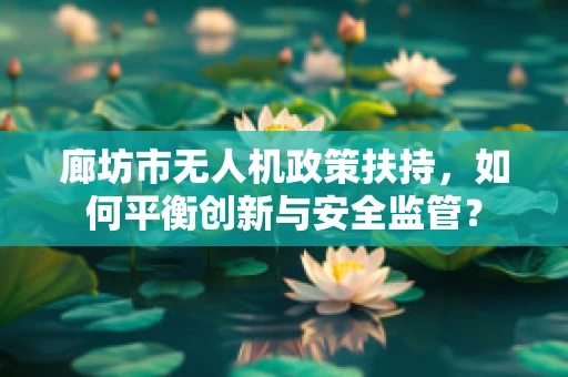 廊坊市无人机政策扶持，如何平衡创新与安全监管？