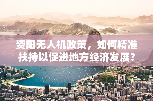 资阳无人机政策，如何精准扶持以促进地方经济发展？