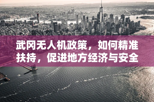 武冈无人机政策，如何精准扶持，促进地方经济与安全并进？