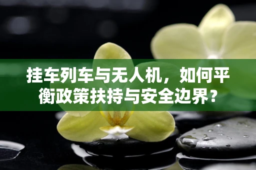 挂车列车与无人机，如何平衡政策扶持与安全边界？