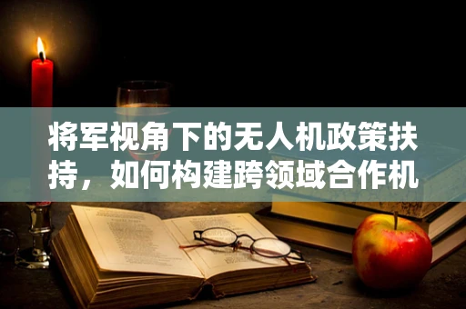 将军视角下的无人机政策扶持，如何构建跨领域合作机制？