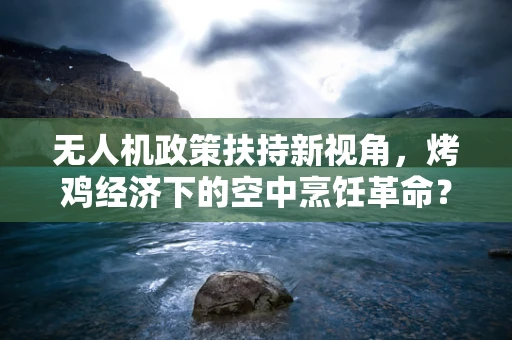 无人机政策扶持新视角，烤鸡经济下的空中烹饪革命？