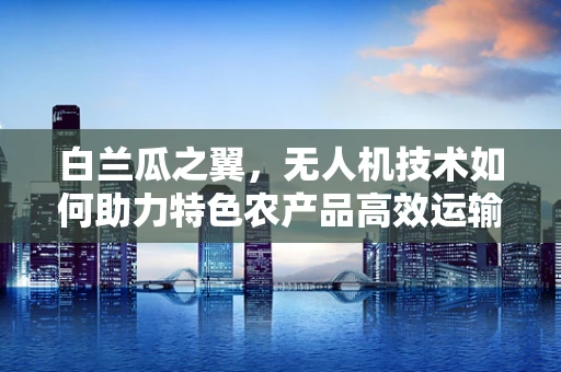 白兰瓜之翼，无人机技术如何助力特色农产品高效运输？