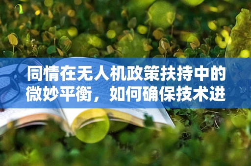 同情在无人机政策扶持中的微妙平衡，如何确保技术进步与公众福祉的和谐共生？