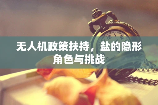 无人机政策扶持，盐的隐形角色与挑战