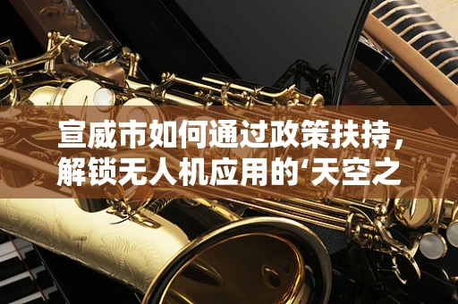 宣威市如何通过政策扶持，解锁无人机应用的‘天空之钥’？