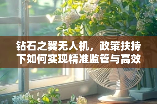 钻石之翼无人机，政策扶持下如何实现精准监管与高效利用？