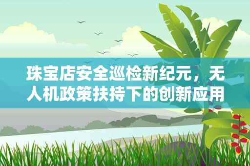 珠宝店安全巡检新纪元，无人机政策扶持下的创新应用？