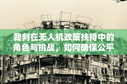 裁判在无人机政策扶持中的角色与挑战，如何确保公平与效率？