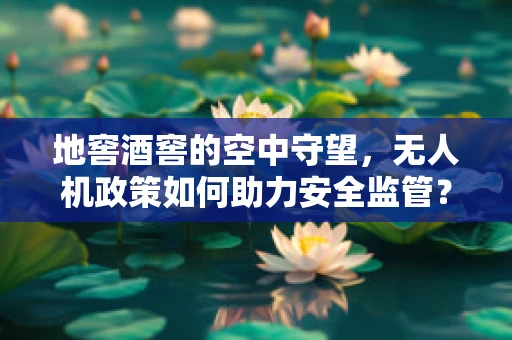 地窖酒窖的空中守望，无人机政策如何助力安全监管？