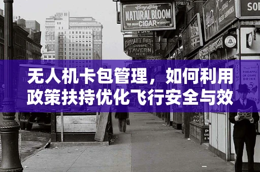 无人机卡包管理，如何利用政策扶持优化飞行安全与效率？