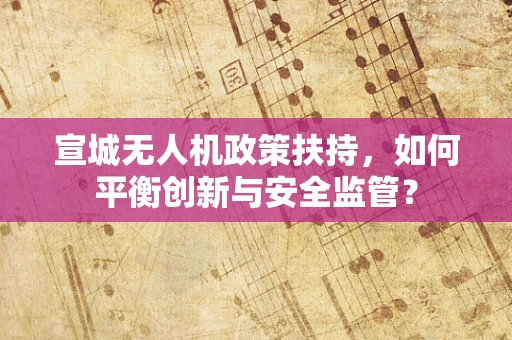 宣城无人机政策扶持，如何平衡创新与安全监管？