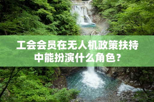 工会会员在无人机政策扶持中能扮演什么角色？