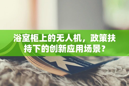 浴室柜上的无人机，政策扶持下的创新应用场景？