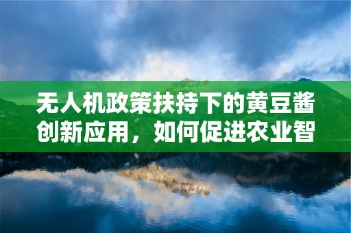 无人机政策扶持下的黄豆酱创新应用，如何促进农业智能化转型？
