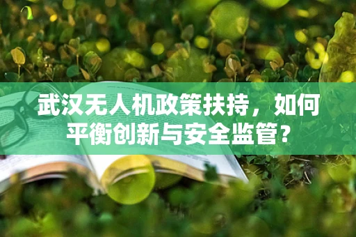 武汉无人机政策扶持，如何平衡创新与安全监管？