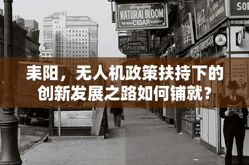 耒阳，无人机政策扶持下的创新发展之路如何铺就？