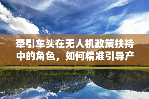 牵引车头在无人机政策扶持中的角色，如何精准引导产业创新与发展？