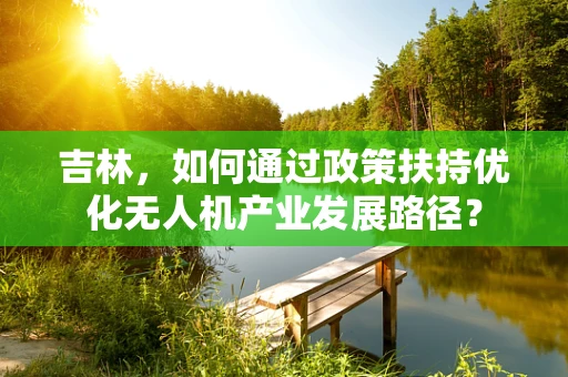 吉林，如何通过政策扶持优化无人机产业发展路径？