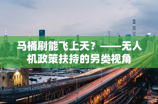 马桶刷能飞上天？——无人机政策扶持的另类视角