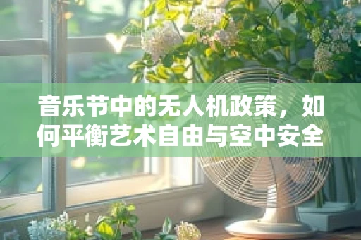 音乐节中的无人机政策，如何平衡艺术自由与空中安全？