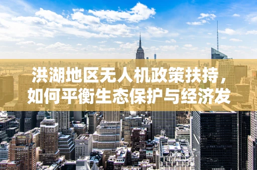 洪湖地区无人机政策扶持，如何平衡生态保护与经济发展？