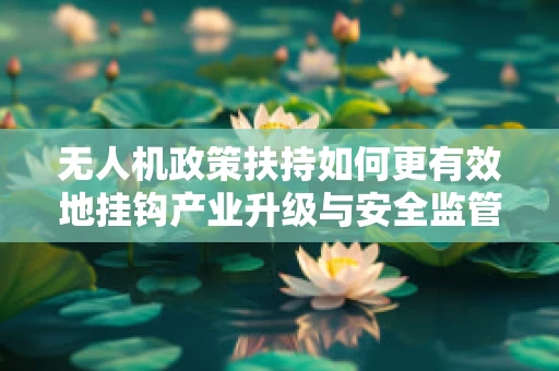 无人机政策扶持如何更有效地挂钩产业升级与安全监管？