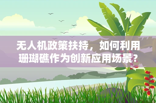 无人机政策扶持，如何利用珊瑚礁作为创新应用场景？