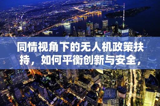 同情视角下的无人机政策扶持，如何平衡创新与安全，保障公众利益？