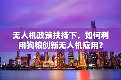 无人机政策扶持下，如何利用狗粮创新无人机应用？