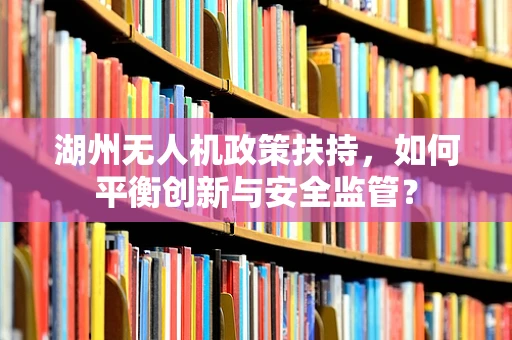 湖州无人机政策扶持，如何平衡创新与安全监管？